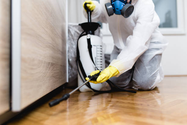 Best Mosquito Control Services  in Mcgehee, AR