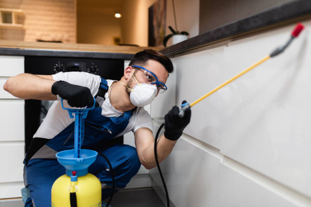 Best Best Pest Control Companies  in Mcgehee, AR