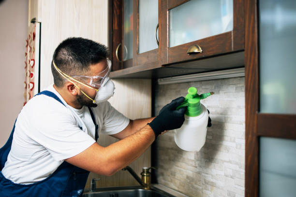 Best Rat Extermination Near Me  in Mcgehee, AR