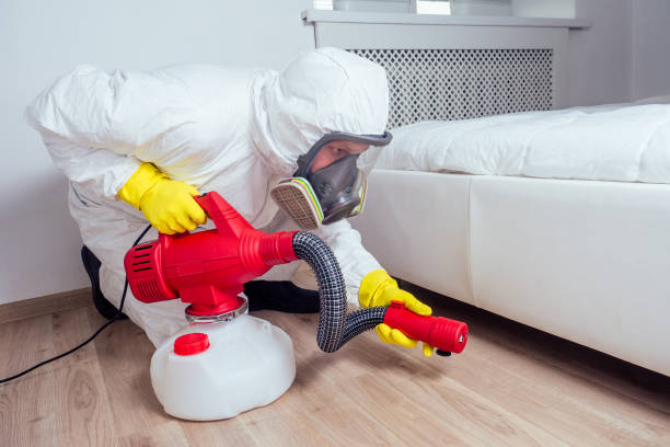 Best Affordable Pest Control Services  in Mcgehee, AR