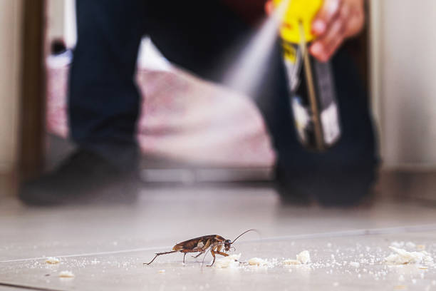 Best Pest Prevention Services  in Mcgehee, AR