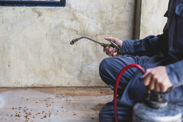 Flea Control Services in Mcgehee, AR